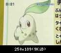 Starters Chikorita